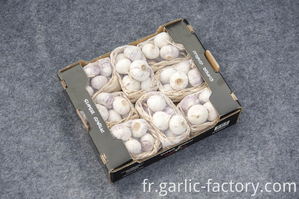 Top Quality Chinese Solo Garlic On Sale